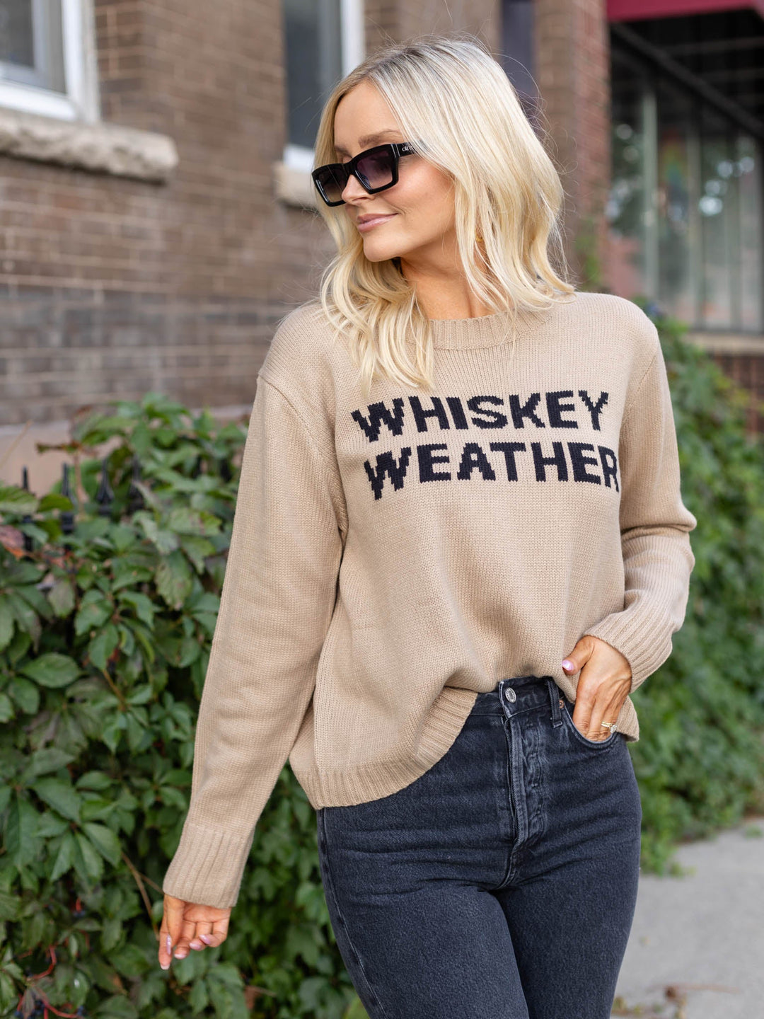 Whiskey Weather Pullover Sweater - Taupe/BlackSweaters