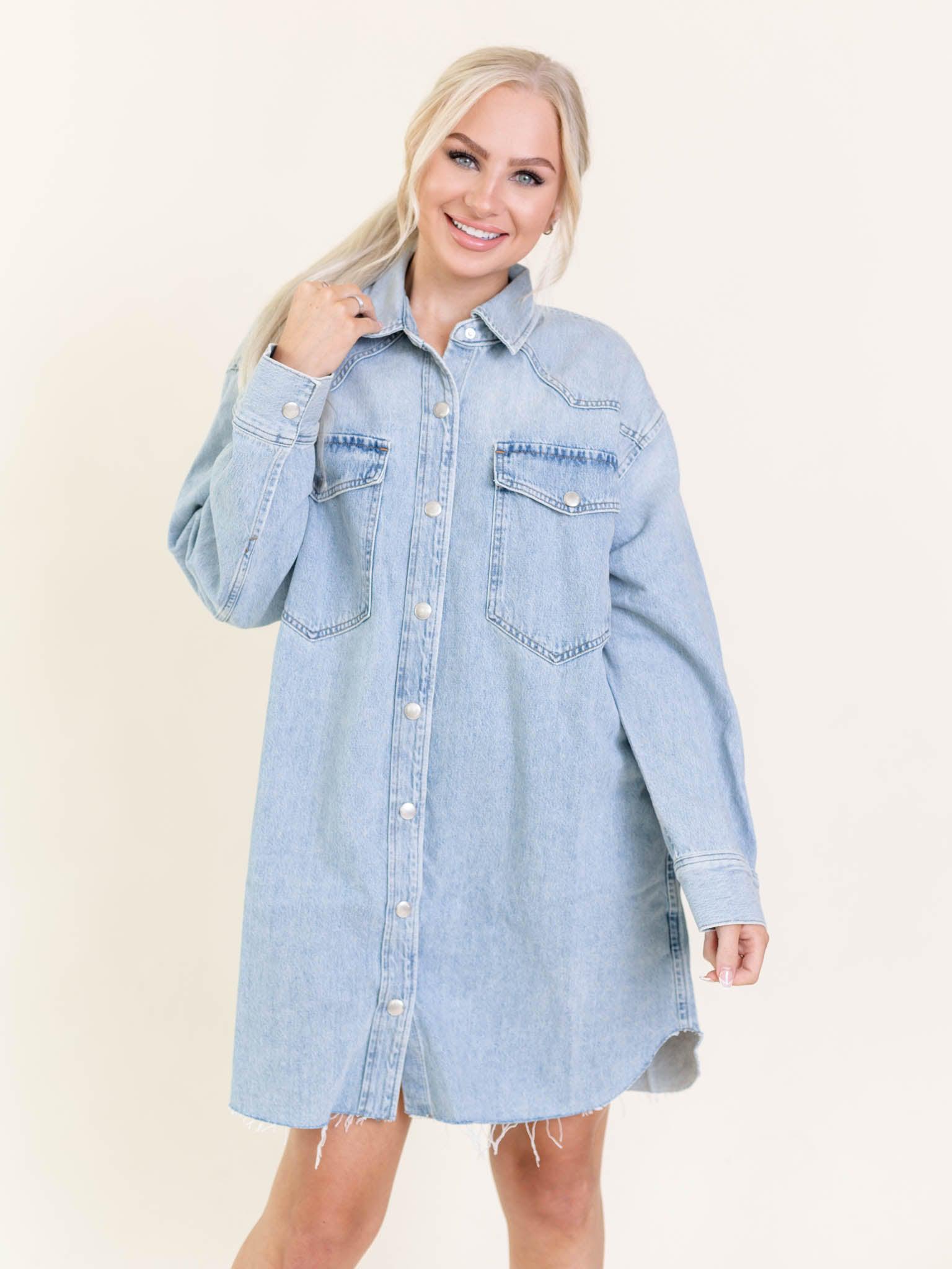 AGOLDE Flush Jessa Shirt Dress Denim Shirt Dress Leela and