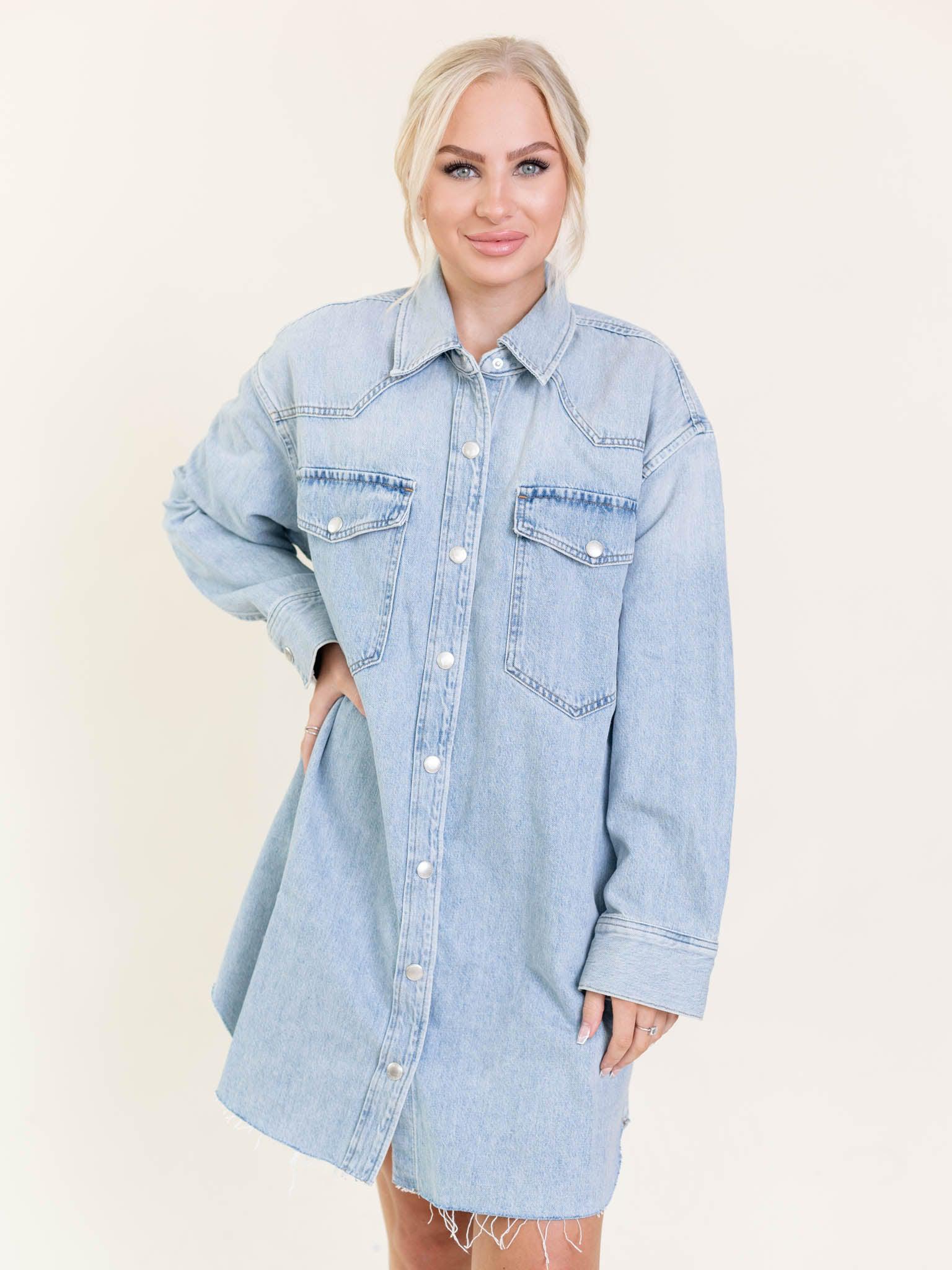 AGOLDE Flush Jessa Shirt Dress Denim Shirt Dress Leela and