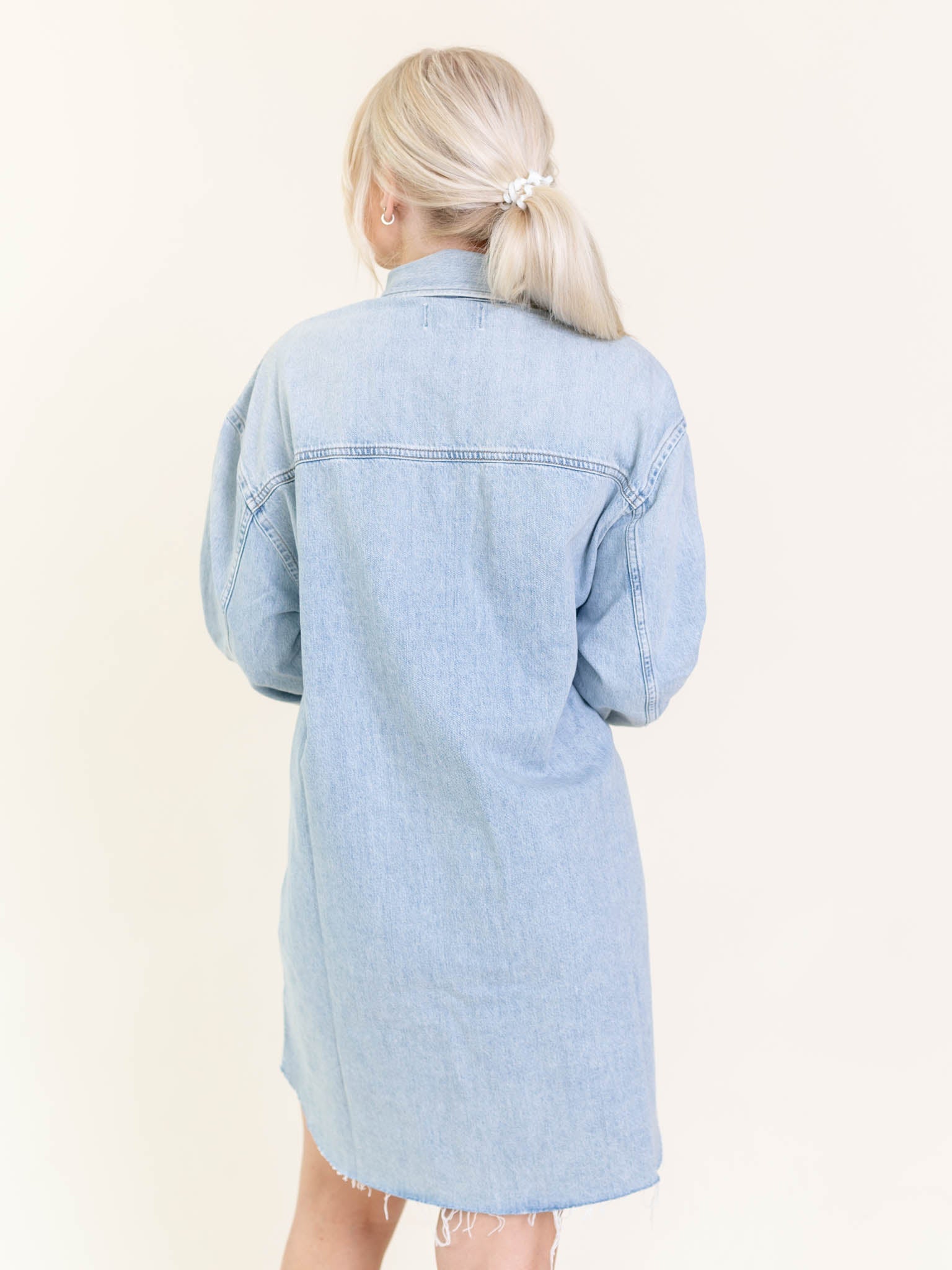 AGOLDE Flush Jessa Shirt Dress Denim Shirt Dress Leela and