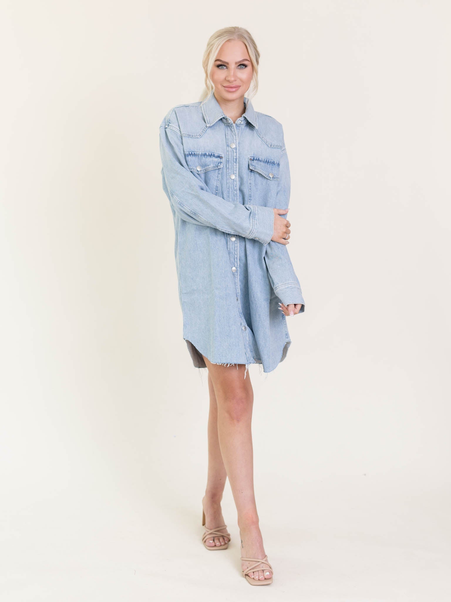 AGOLDE Flush Jessa Shirt Dress Denim Shirt Dress Leela and